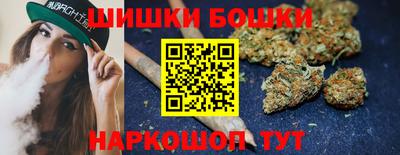 гашик Камышлов