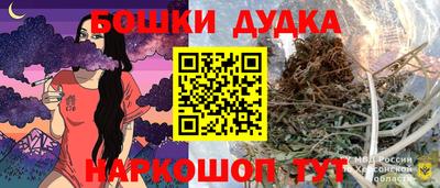 гашик Камышлов