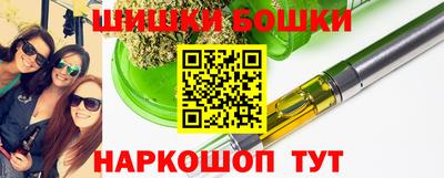 гашик Камышлов