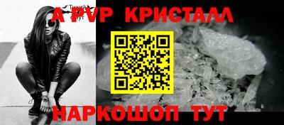 спиды Кандалакша