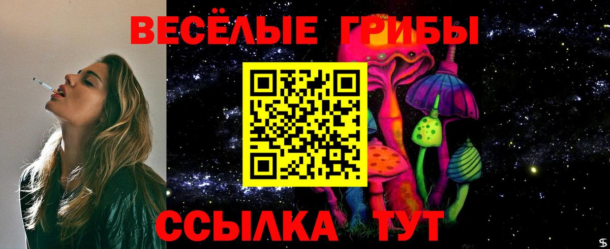 Вольск  сколько стоит  Вход с VPN  Псилоцибиновые грибы Psilocybe 
